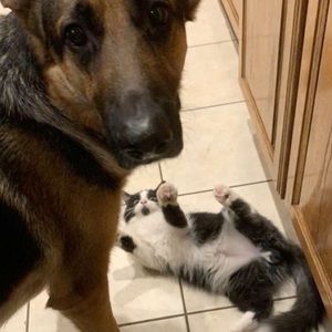 Meet your Posher, Crystal